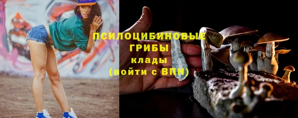 сатива Алзамай