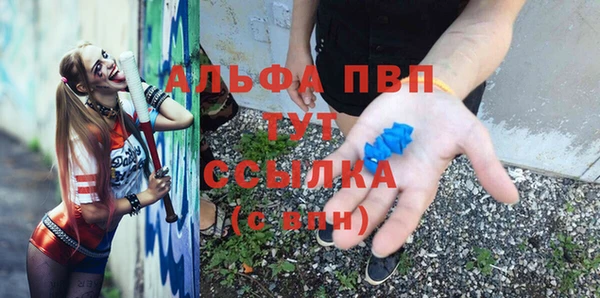 сатива Алзамай