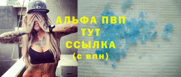гашик Алексин