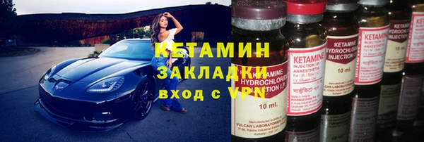 гашик Алексин