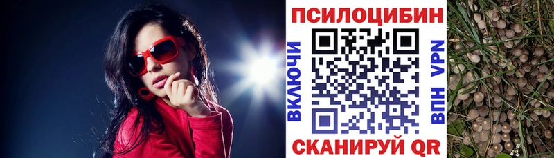 Псилоцибиновые грибы MAGIC MUSHROOMS  Чадан 